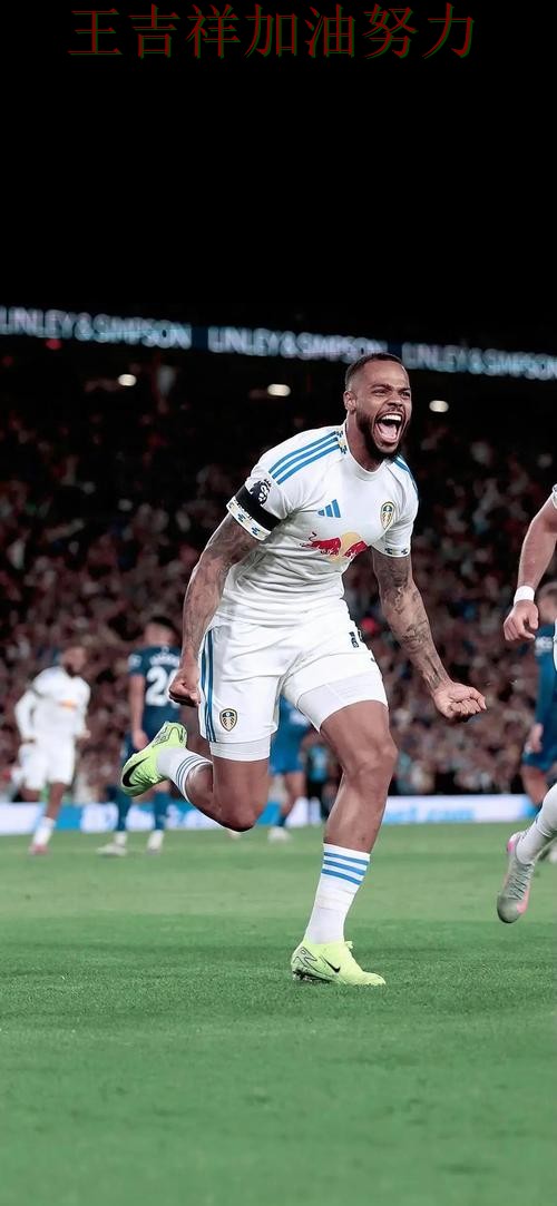 WTA巡回赛伤病情况更新：曼城防线失误导致痛失好局