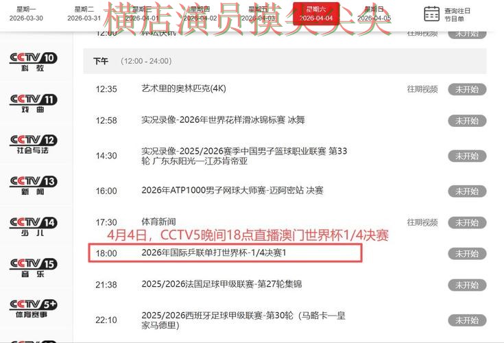 世界杯实时直播来临,世界杯买球网站数据分析+直播与平台选择揭秘 世界杯实时直播来临,世界杯买球网站数据分析+直播与平台选择揭秘